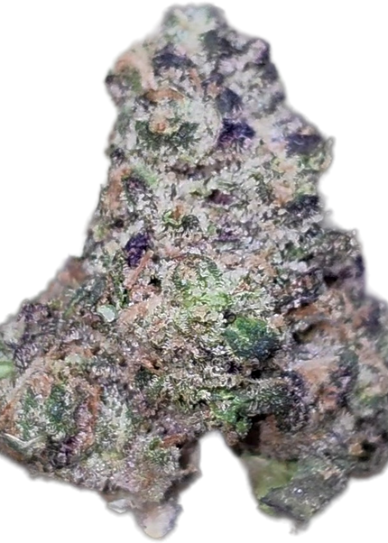 Purple Punch Med/SM 35% THCa Bulk