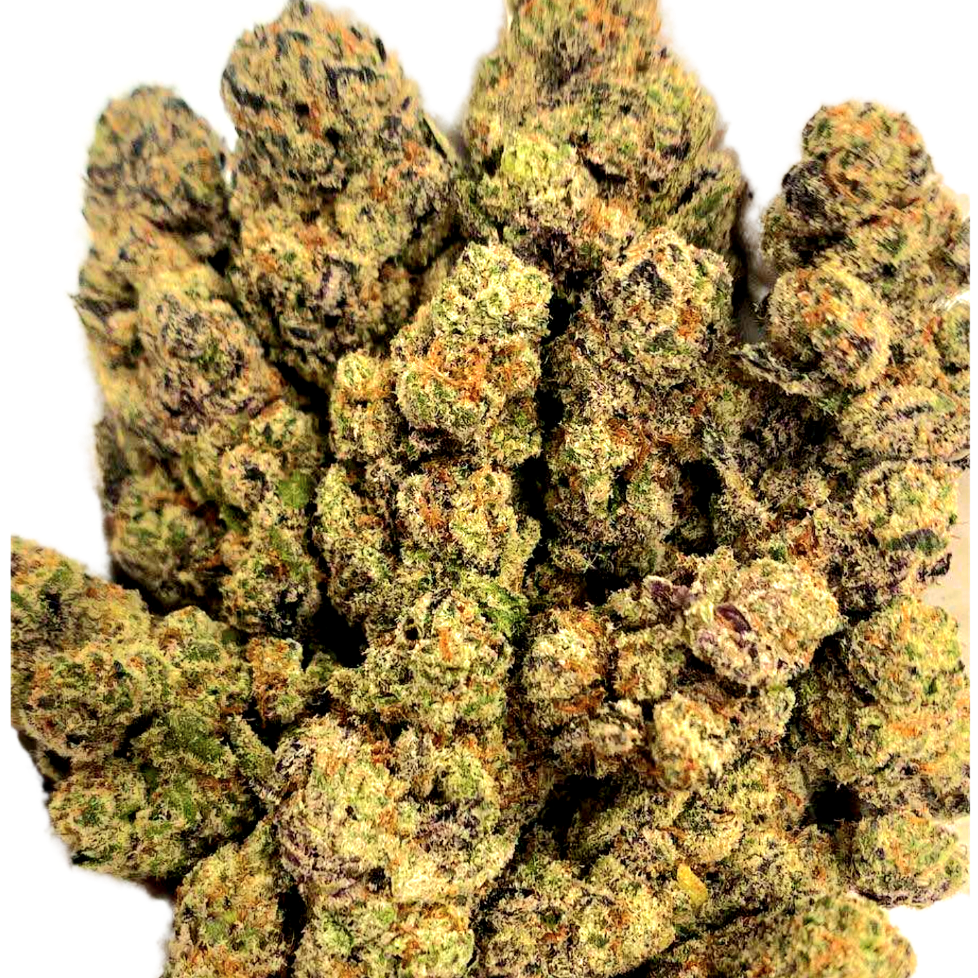 Purple Tesla 33% THCa