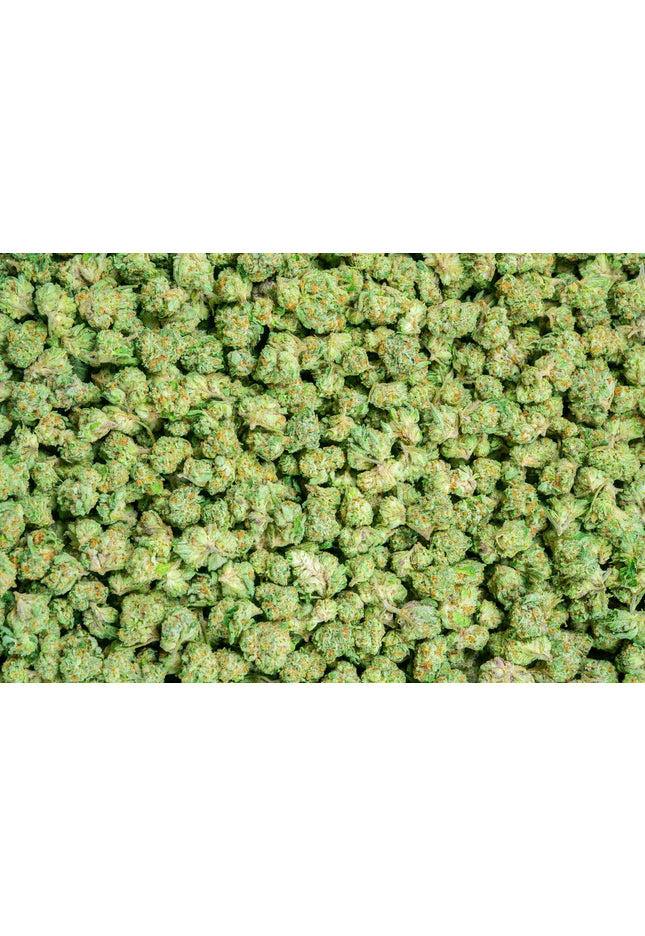 Jack Ramsey Smalls 30% Bulk