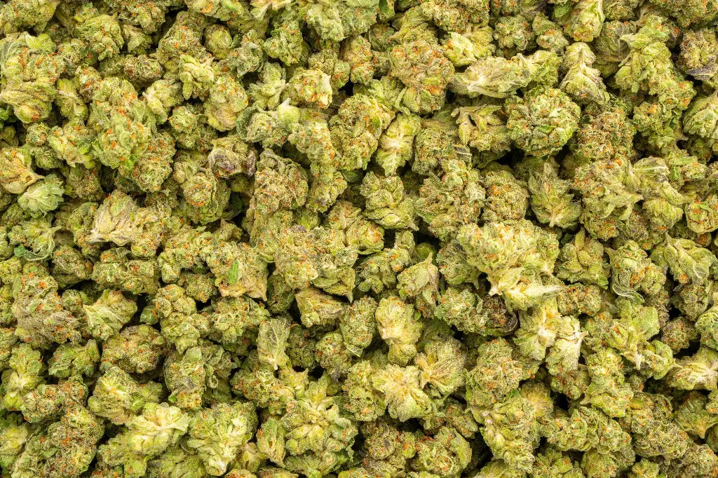 Jellie Cake 33% Bulk Smalls