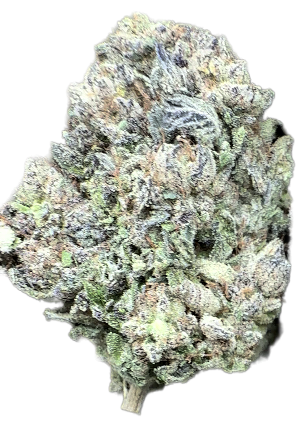 Jet Fuel 32% THCA Bulk