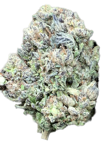 Jet Fuel 32% THCA Bulk