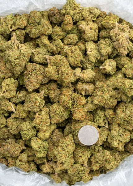 Kush Crasher 32% Thca