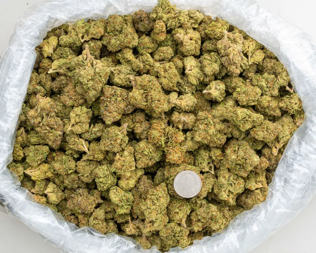 Kush Crasher 32% Thca