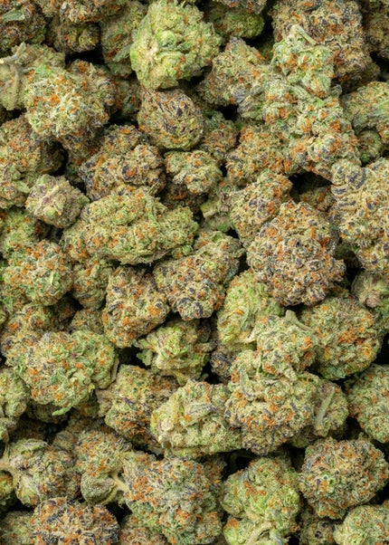 La Bomba 33% THCa