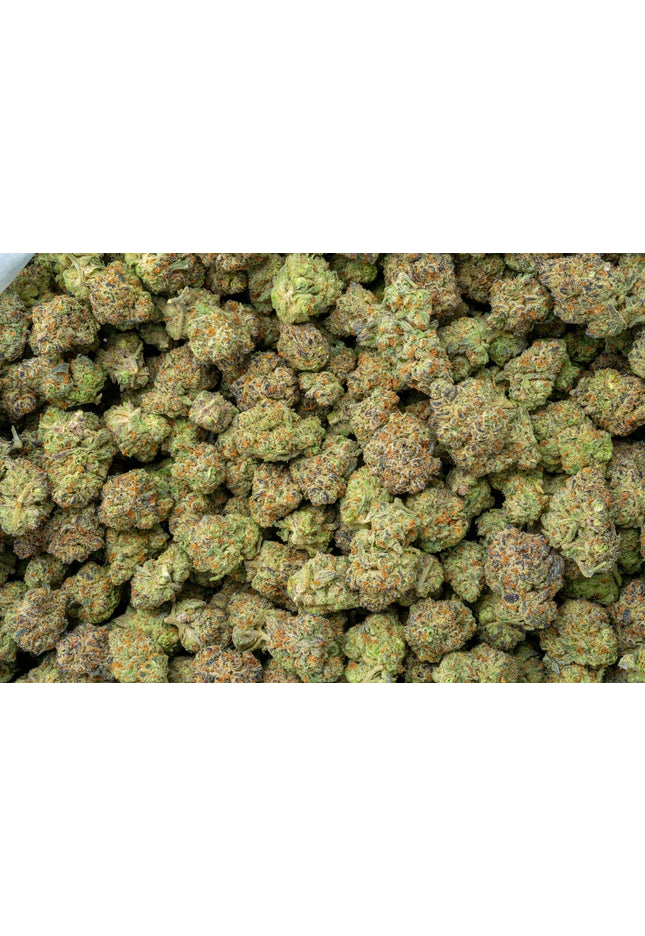 La Bomba 33% THCa
