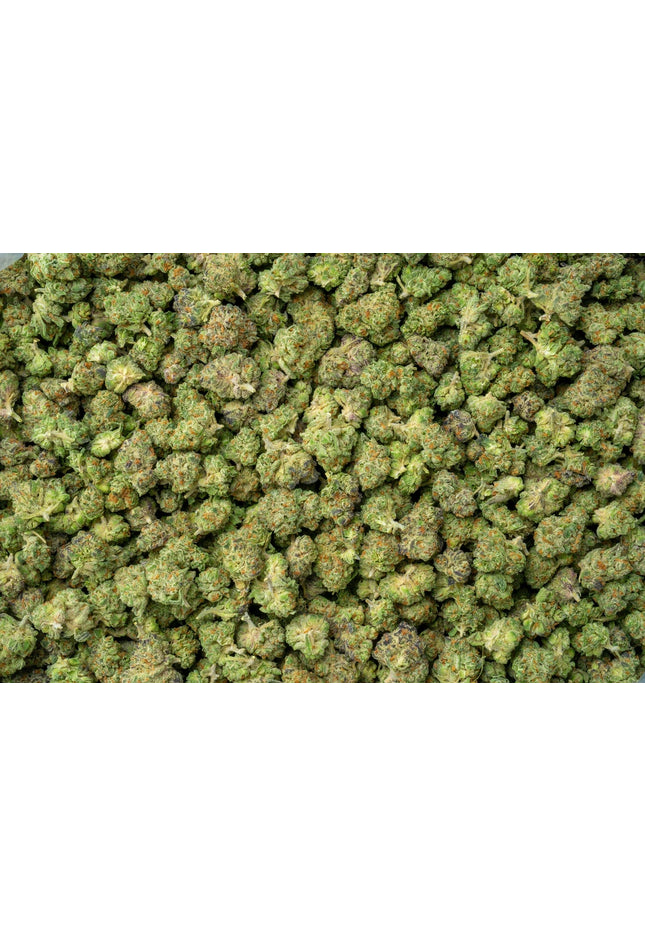 La Bomba 33% THCa Smalls