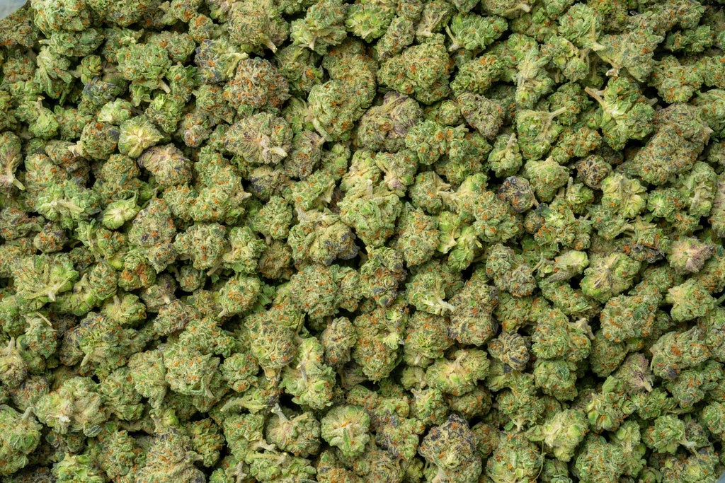La Bomba 33% THCa Smalls