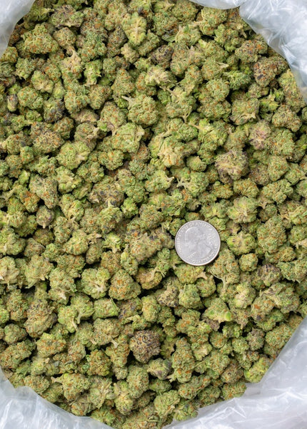 La Bomba 33% THCa Smalls