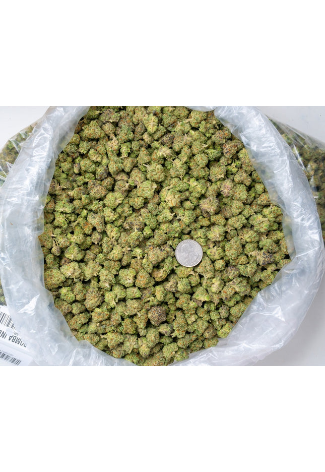 La Bomba 33% THCa Smalls