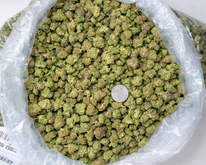 La Bomba 33% THCa Smalls