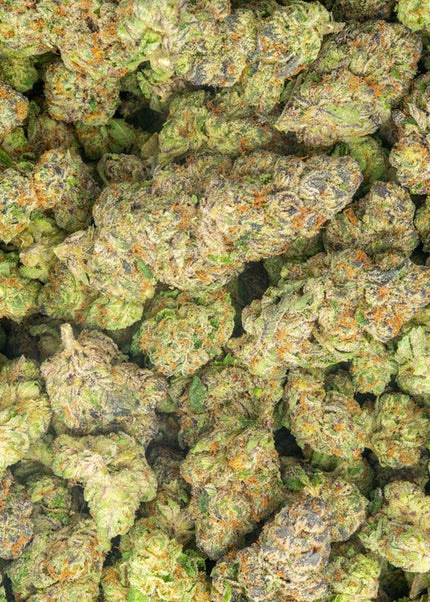strain discount thca hemp buy pounds online fast shipping for bulk wholesale discount price online cheap