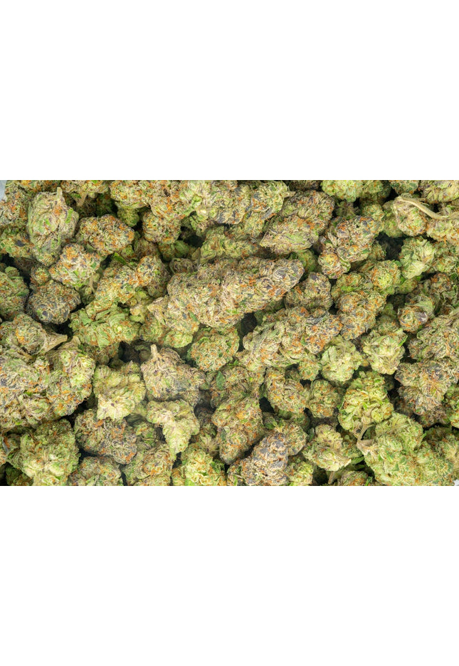 strain discount thca hemp buy pounds online fast shipping for bulk wholesale discount price online cheap