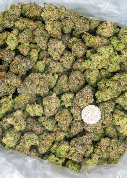 best distro discount thca hemp buy pounds online quick shipping cheap bulk wholesale discount price online 