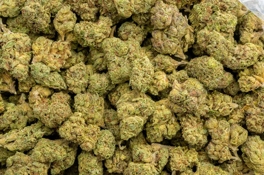 Nimbus Snacks 32% Thca Bulk