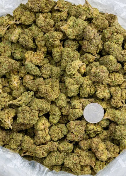 Nimbus Snacks 32% Thca Bulk