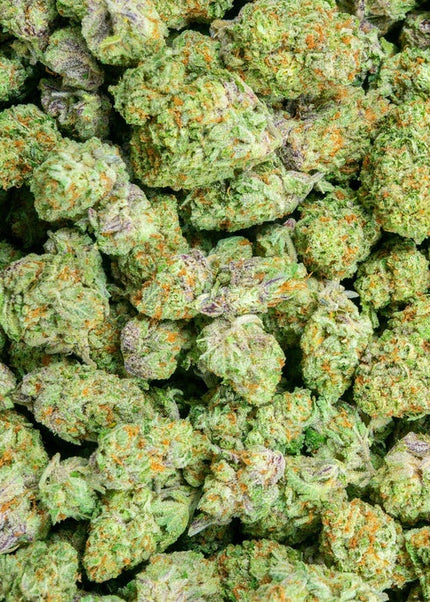 Orange Creamcicle 28% THCa Bulk
