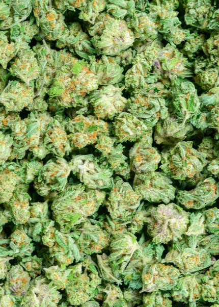 Orange Creamcicle 28% THCa Smalls Bulk