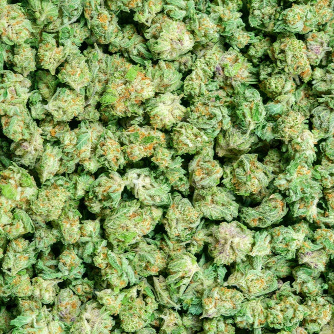 Orange Creamcicle 28% THCa Smalls Bulk