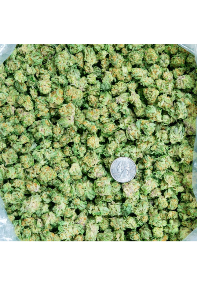 Orange Creamcicle 28% THCa Smalls Bulk