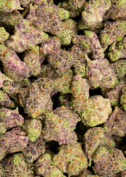 Peanut Butter Milkshake 34% THCa Mediums BULK