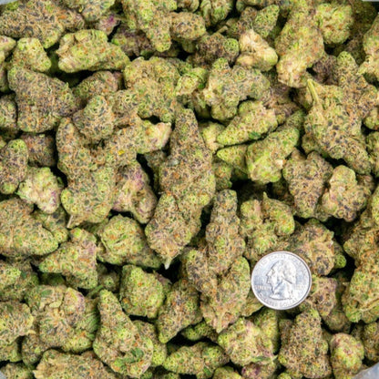 Peanut Butter Milkshake 34% THCa Standard Mix