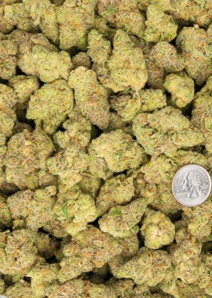 cheap distro exotic discount thca hemp exotic flower buy pounds online fast shipping cheap wholesale discount pricing online terp supply