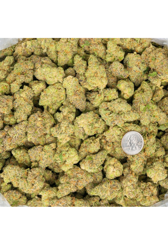 cheap distro exotic discount thca hemp exotic flower buy pounds online fast shipping cheap wholesale discount pricing online terp supply
