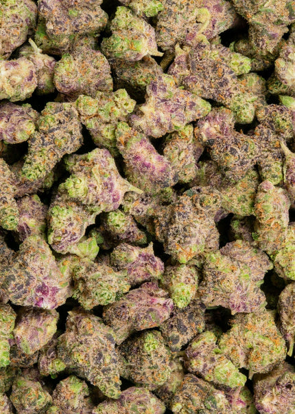 Peanut Butter Milkshake 34% THCa Mediums BULK