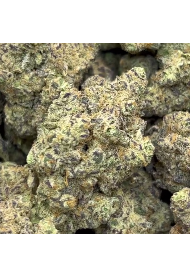 Wholesale bulk sativa thca