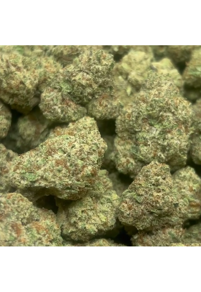 High quality high potency indoor living soil flower
