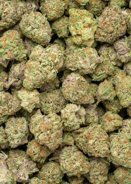 Purple Milk 34% Thca Bulk