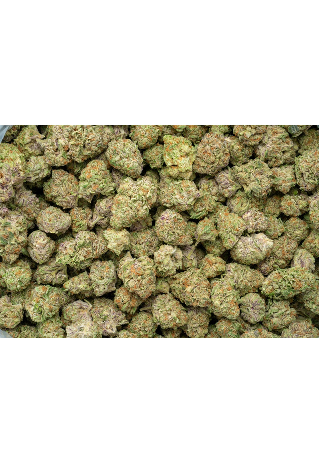 Purple Milk 34% Thca Bulk