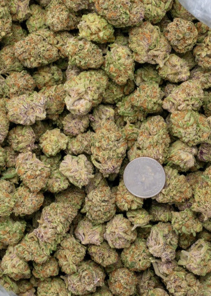 Purple Milk 34% Thca Bulk