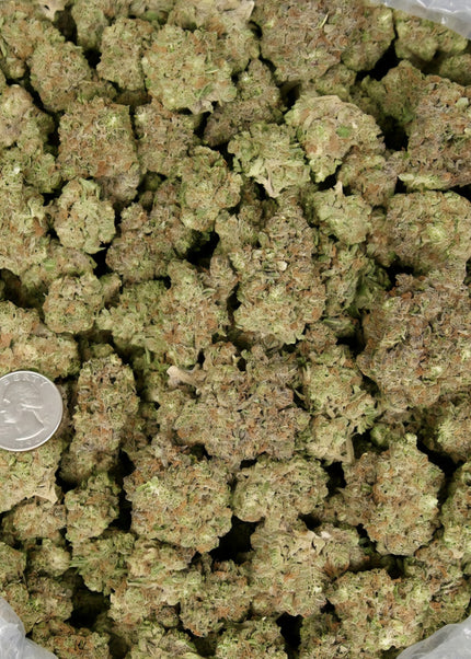 distro best hemp Thca discount  wholesale lbs online buy shipping