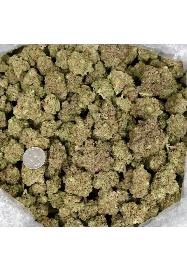 distro best hemp Thca discount  wholesale lbs online buy shipping