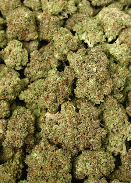 shop best Thca discount cheap wholesale buy hemp pounds online shipping