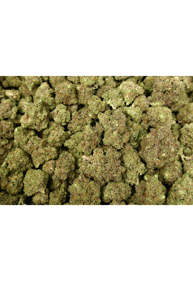 shop best Thca discount cheap wholesale buy hemp pounds online shipping