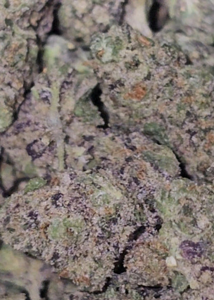 Candy Gelato 31% THCa Smalls