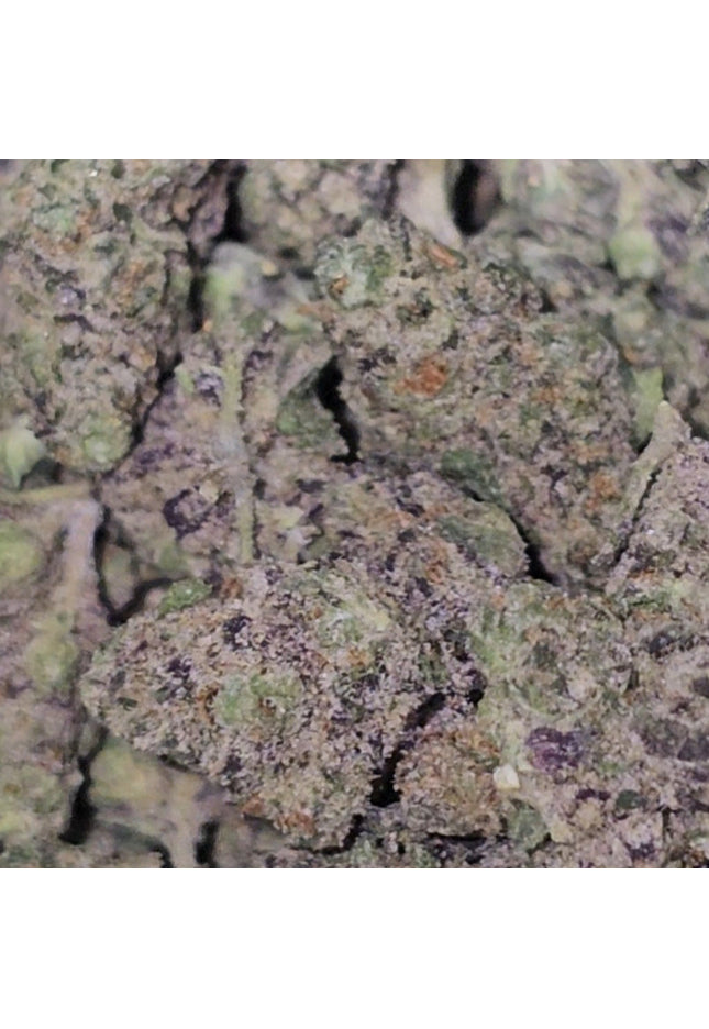 Candy Gelato 31% THCa Smalls