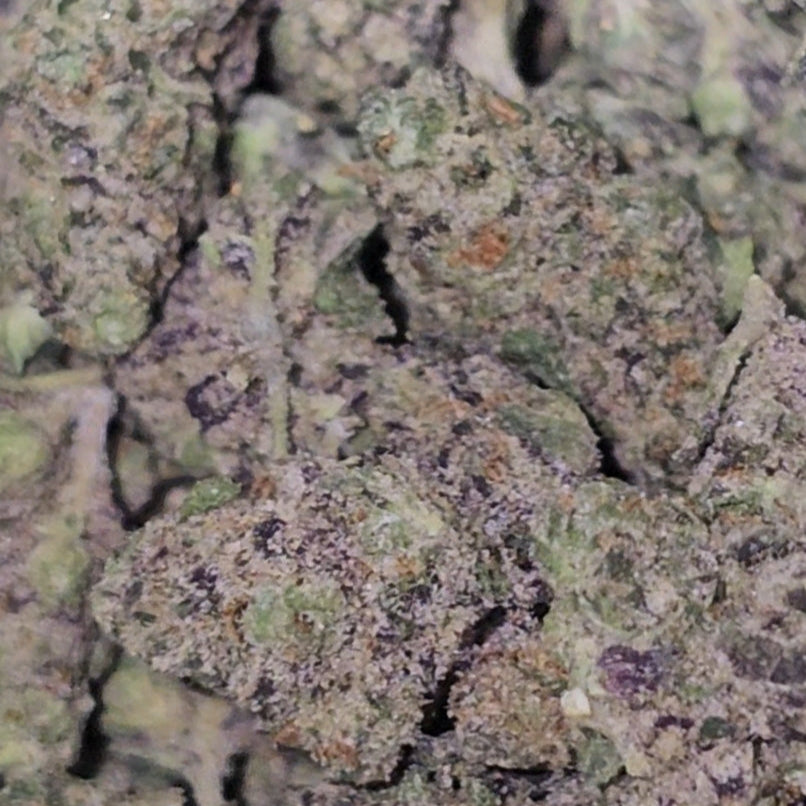 Candy Gelato 31% THCa Smalls