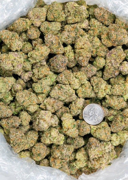 Sharpie 34% THCa