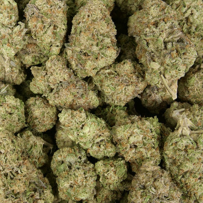Sherb Scotty 28% Thca
