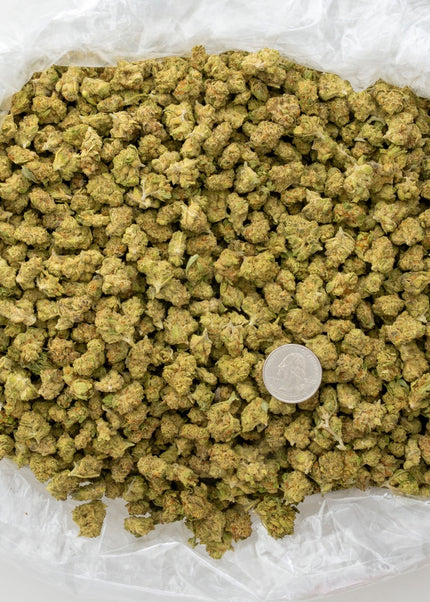 Sherb Scotty 28% Thca SMALLS