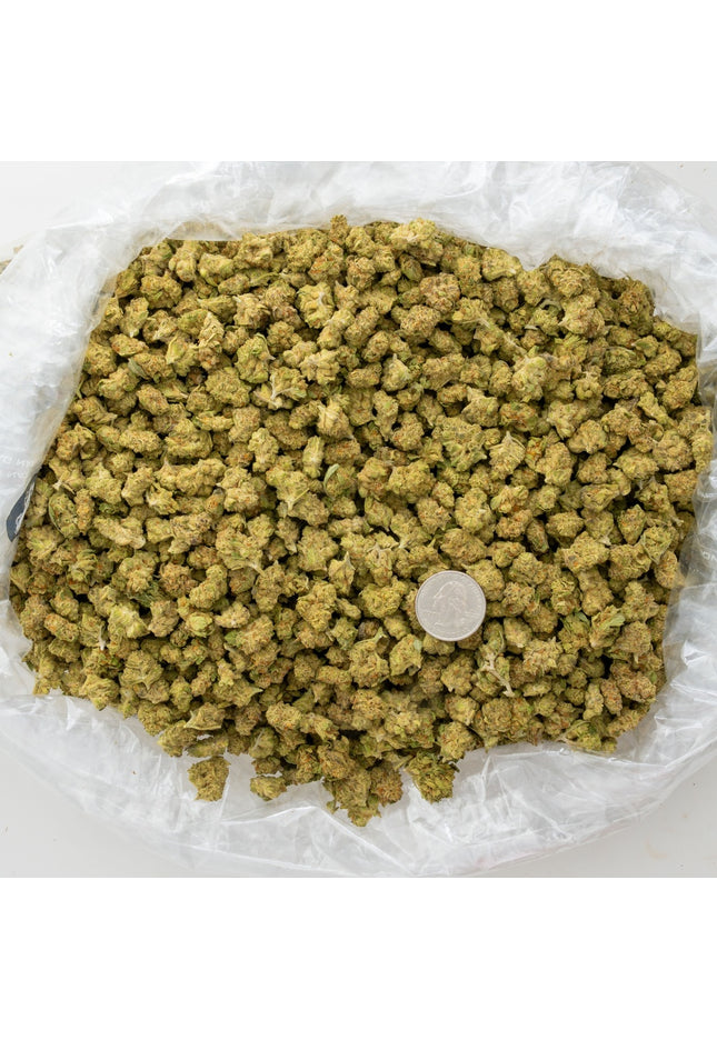 Sherb Scotty 28% Thca SMALLS