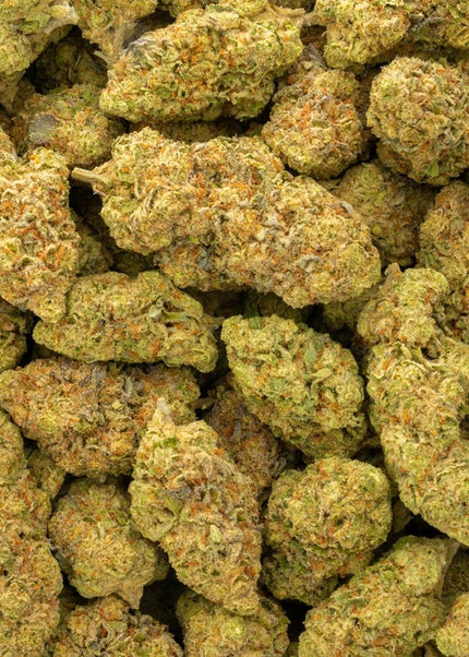 Sherb Scotty 28% Thca