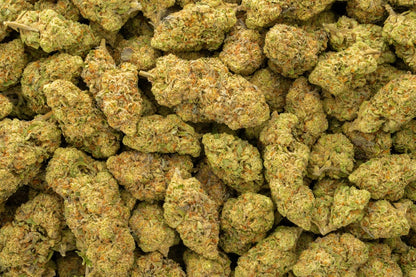 Sherb Scotty 28% Thca