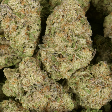 Sherb Scotty 28% Thca