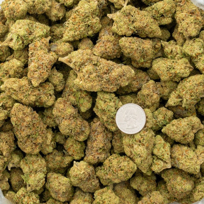 Sherb Scotty 28% Thca