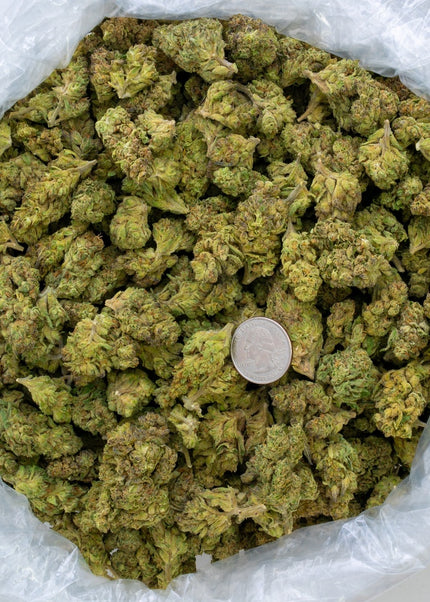 Slurty 32% Bulk